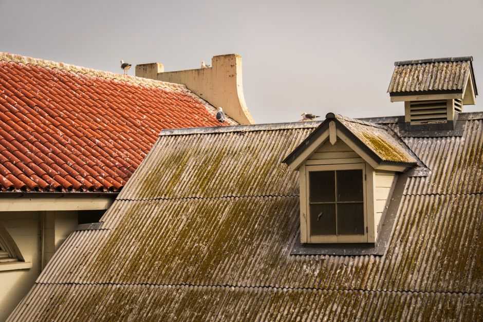 repair or replace roof - Jackson Roofing